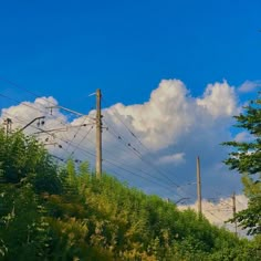 the power lines are high above the trees and bushes on the side of the road