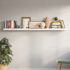 a potted plant sitting on top of a white shelf