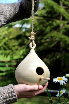 a person holding a bird house in their hand with daisies on the other side