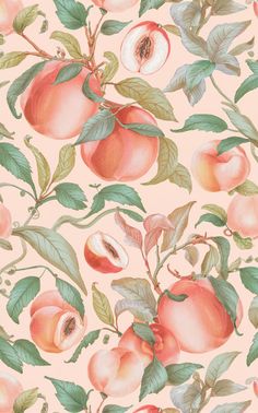 peaches and leaves on a pink background