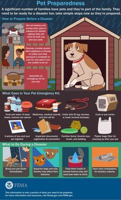 an info sheet describing the benefits of pet supplies for dogs and cats in their home