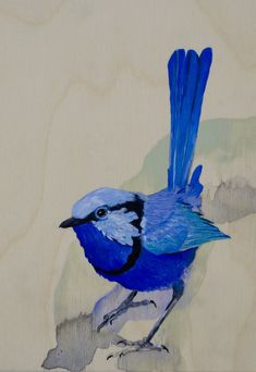 a painting of a blue bird sitting on a branch