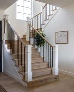 there is a plant on the stair case in this house with wood floors and white walls