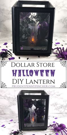 two halloween decorations in a black box with purple flowers and spider webs on it