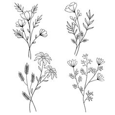 four different types of wildflowers on a white background, one is black and the other is white