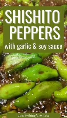 shishito peppers with garlic and soy sauce in a skillet on the stove