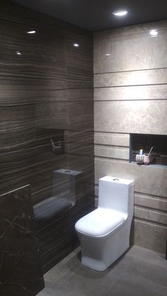 a bathroom with a white toilet sitting next to a wall mounted fire place in it