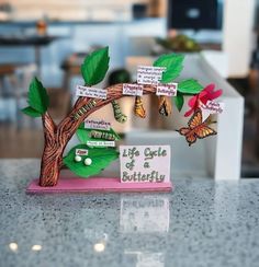 a cake with butterflies on it sitting on a counter