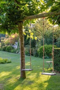 two swings in the middle of a garden