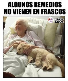 an old woman laying in bed with her dog and caption that reads algunos remedios no vien en frascos