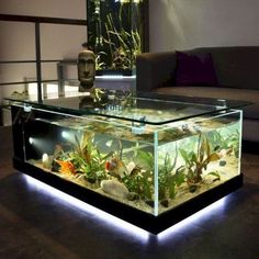 an aquarium is lit up in the middle of a living room with a couch and coffee table