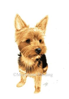 a drawing of a small brown dog with black collar and bow on it's neck