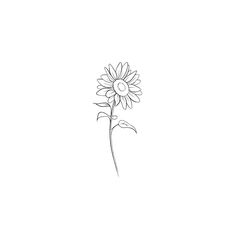 Sunflower doodle ~ Cute Simple Sunflower Tattoos, Sunflower Tattoo Outline Drawing, Mini Tattoos Sunflower, Fine Line Sunflower Tattoo Design, Sunflower Drawing Minimalist, Sunflowers Line Art, Flower Tattoos Sunflower