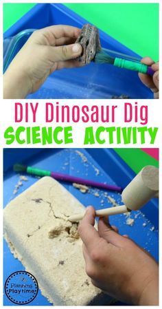 this is an easy science activity for kids to do with the dinosaurs and other animals