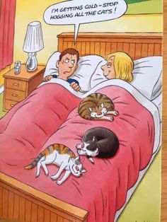 an image of a cat laying in bed with two cats