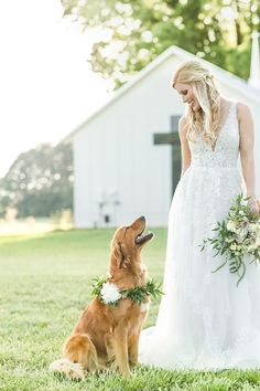 a woman in a wedding dress standing next to a brown dog with flowers on it's collar