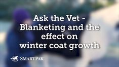 a blurry photo with the words ask the vet - blanketing and the effect on winter coat growth