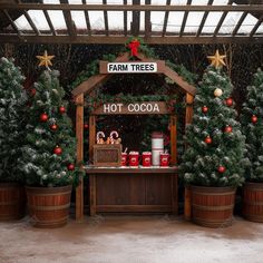 christmas trees and hot cocoa are on display in buckets at the farm tree stand