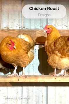 three chickens standing on top of a wooden shelf