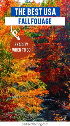 the best usa fall foliage with text overlay that reads, exactly when to go