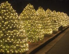 lighted trees lined up along the side of a road