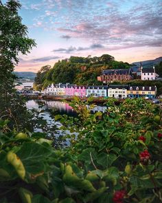 colorful houses line the shore of a river