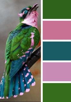 Color Palette Challenge, Paint Color Schemes, Color Schemes Colour Palettes, Color Palette Bright, Nature Color Palette, Color Palette Design