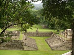 the ruins are surrounded by trees and grass