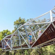 two people walking across a metal bridge in the middle of some trees and bushes on a sunny day