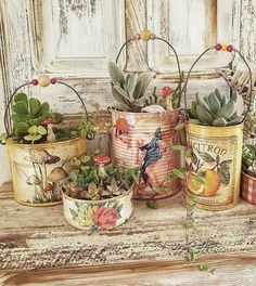 several tins filled with plants sitting on top of a wooden table