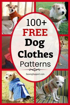 the top ten free dog clothes patterns for dogs and their owners, including sweaters