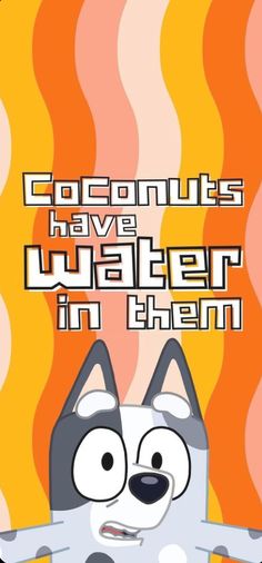 an image of a cartoon character with text that reads, coconuts have water in them