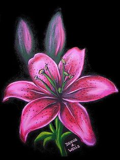 a drawing of a pink flower on a black background