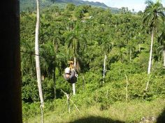 a man is zipping through the jungle