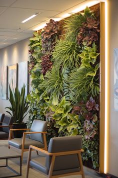 an office lobby with plants on the wall and chairs in front of it, as well as paintings