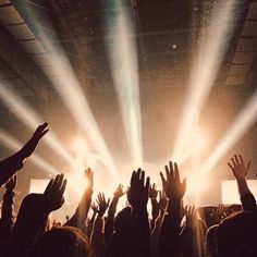 a crowd of people with their hands up at a concert