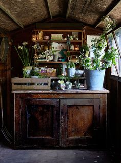 an old wooden cabinet filled with potted plants