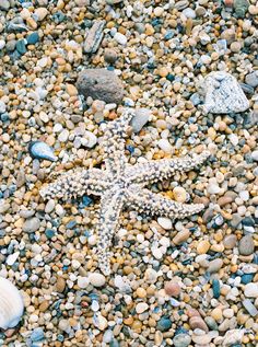 a starfish is laying on some rocks and gravel