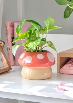 a potted plant sitting on top of a table next to a clock and other items