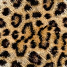 an animal's fur with black spots on it