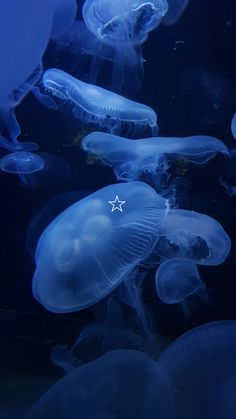 aesthetic moon jellyfish ocean deep sea core Jellyfish, Water