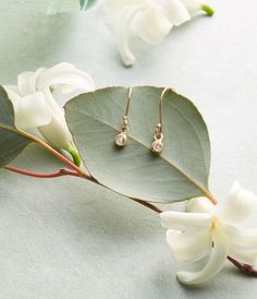 some white flowers and green leaves on a table