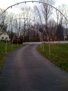 an arch over a paved road in the middle of a park with lots of trees