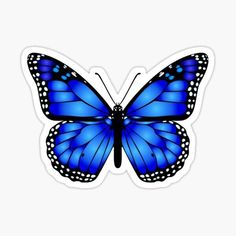 a blue butterfly sticker on a white background