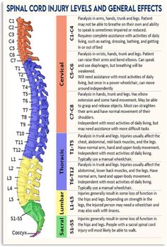 an image of the back side of a diagram with words and pictures on it that say, spiral cord injury levels and general effects