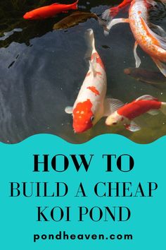 How to build a cheap koi pond Pond Filter Diy, Koi Pond Backyard, Koi Garden, Pond Filter System, Pond Diy, Small Fish Pond, Fish Names, Fish Ponds Backyard, Koi Fish Colors