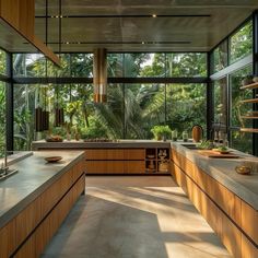 a large kitchen with lots of counter space and plants in the window sill area