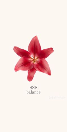 a red flower with the words 898 balance