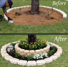 the before and after photo shows how to make a flower bed around a tree