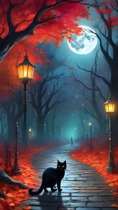 a black cat sitting on a cobblestone road at night